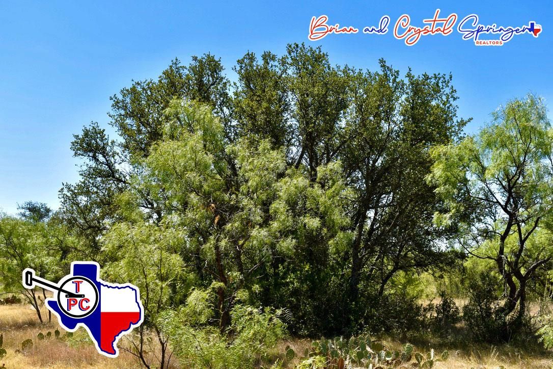 Brady, McCulloch County, TX Farms and Ranches, Recreational Property