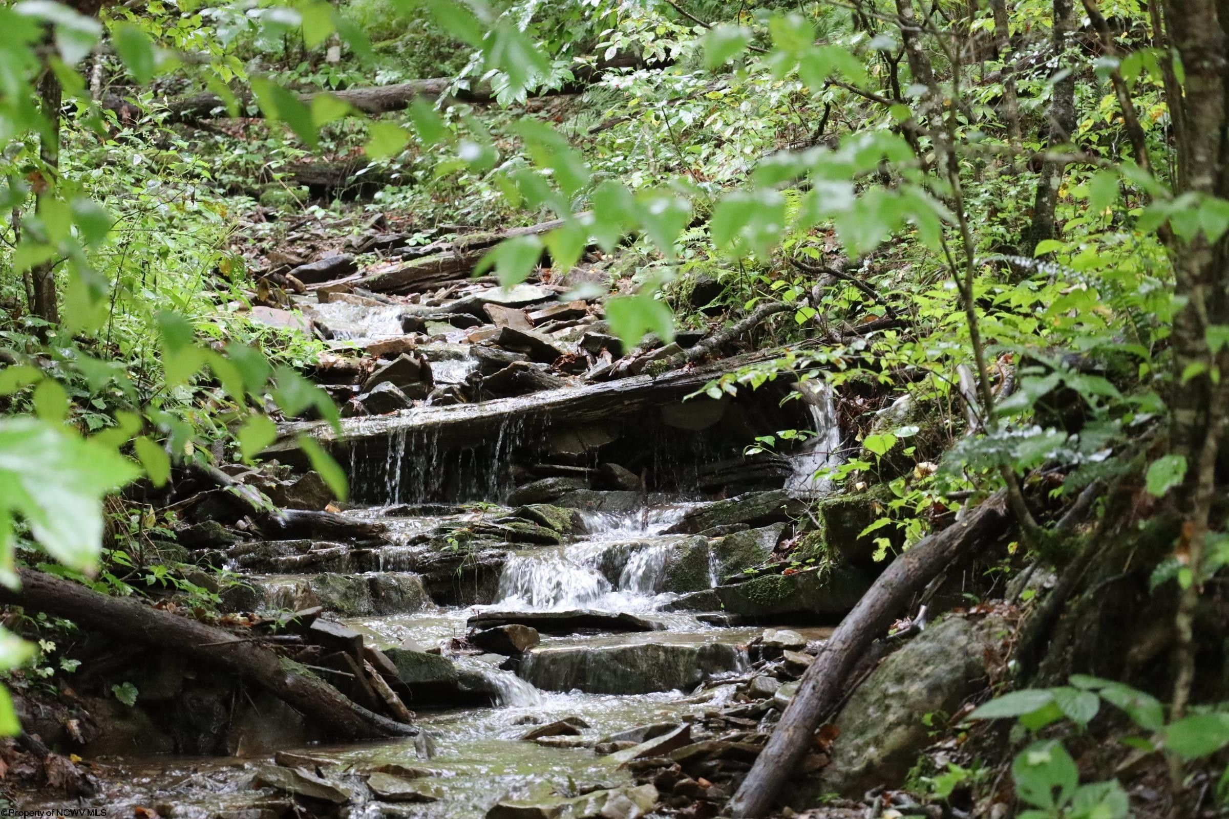 Parsons, Tucker County, WV Undeveloped Land, Lakefront Property