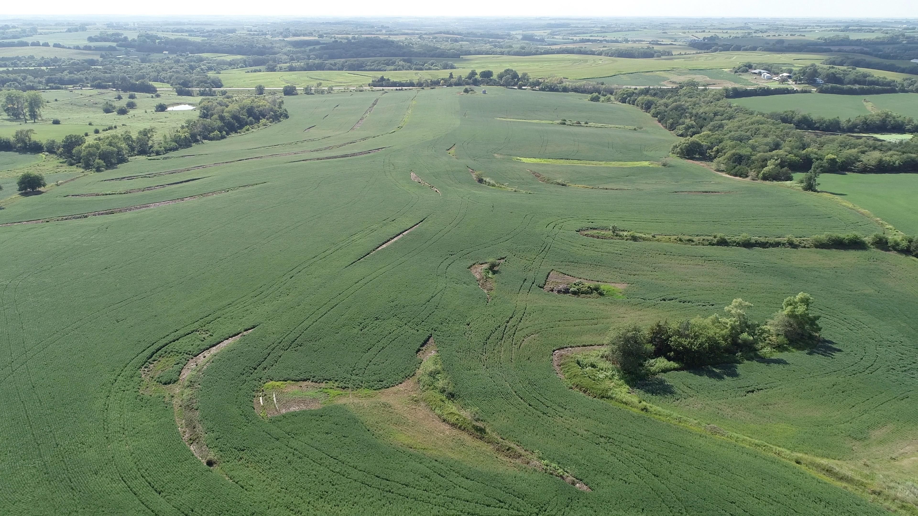 Gravity, Taylor County, IA Farms and Ranches for sale Property ID