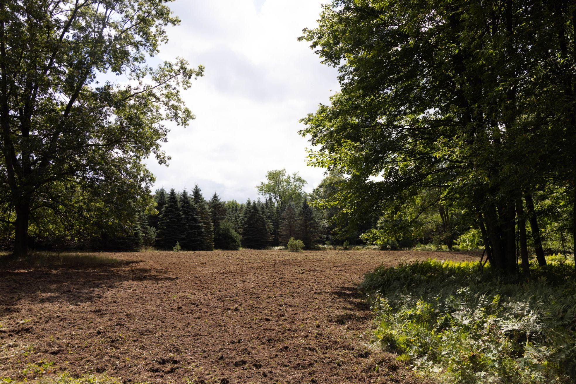 Hart, Oceana County, MI Recreational Property, Timberland Property
