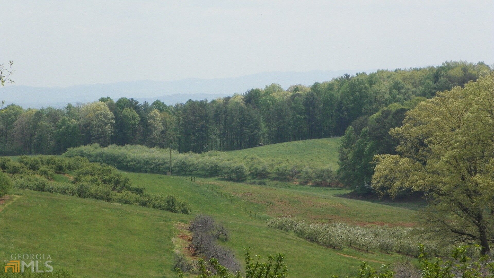 Ellijay, Gilmer County, GA Undeveloped Land for sale Property ID