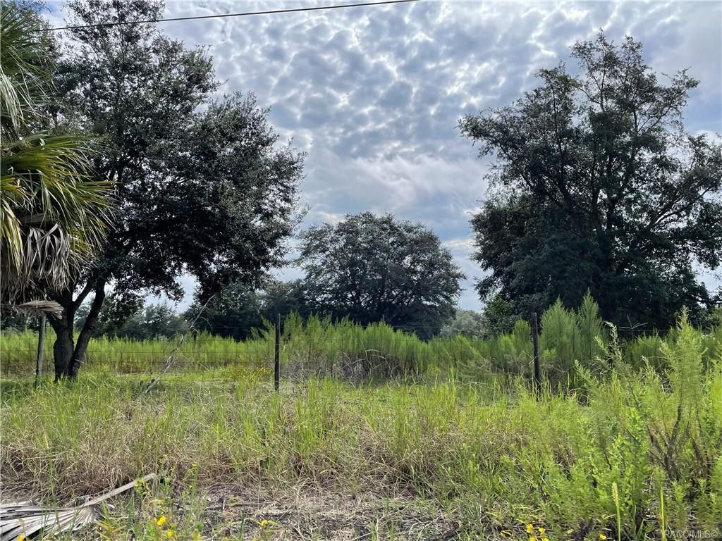 Homosassa, Citrus County, FL Undeveloped Land, Homesites for sale