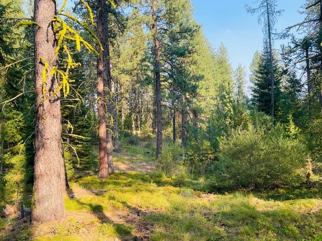 Cascade, Valley County, ID Undeveloped Land, Homesites for sale