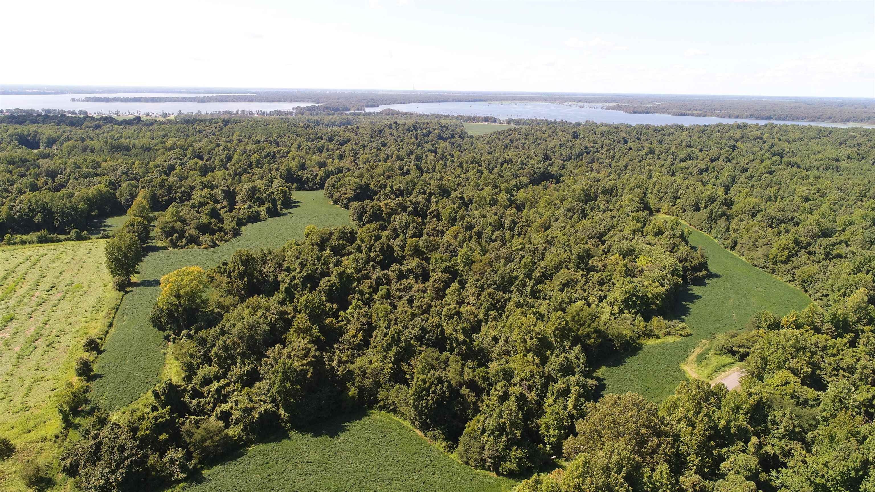 Hornbeak, Obion County, TN Farms and Ranches for sale Property ID