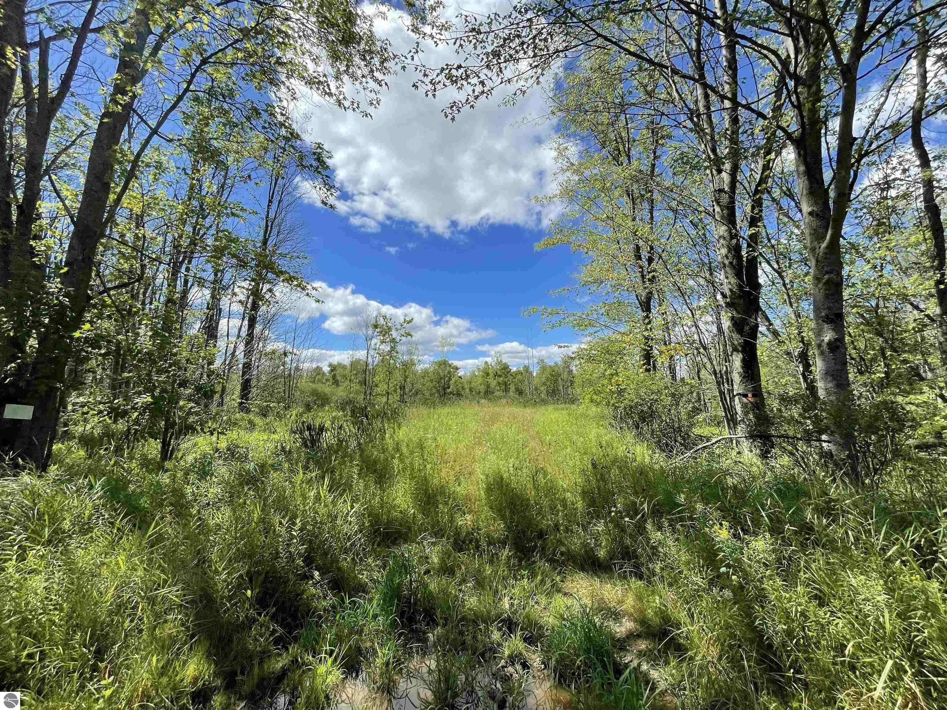 Prescott, Ogemaw County, MI Undeveloped Land, Lakefront Property