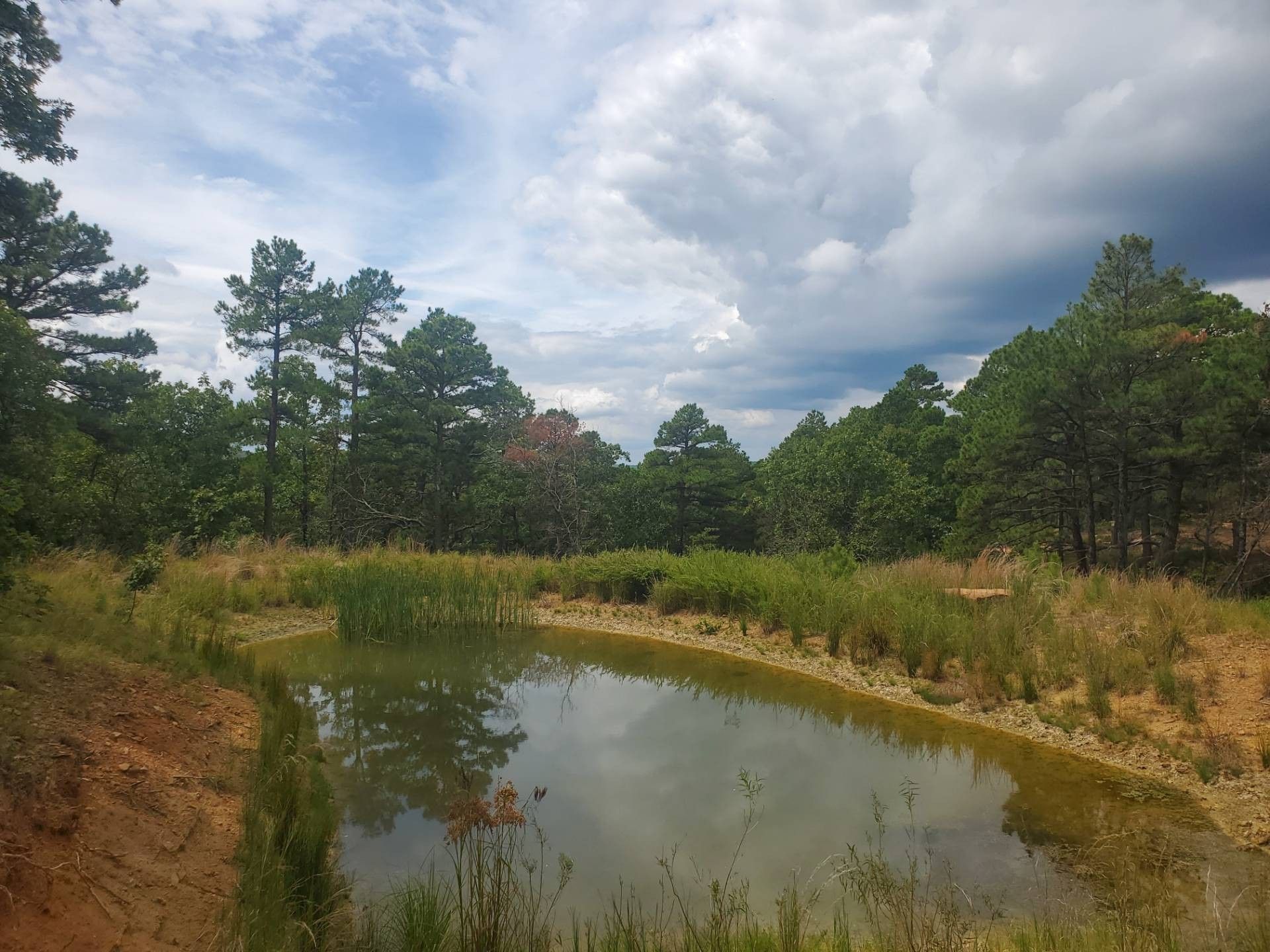 Daisy, Atoka County, OK Undeveloped Land, Lakefront Property