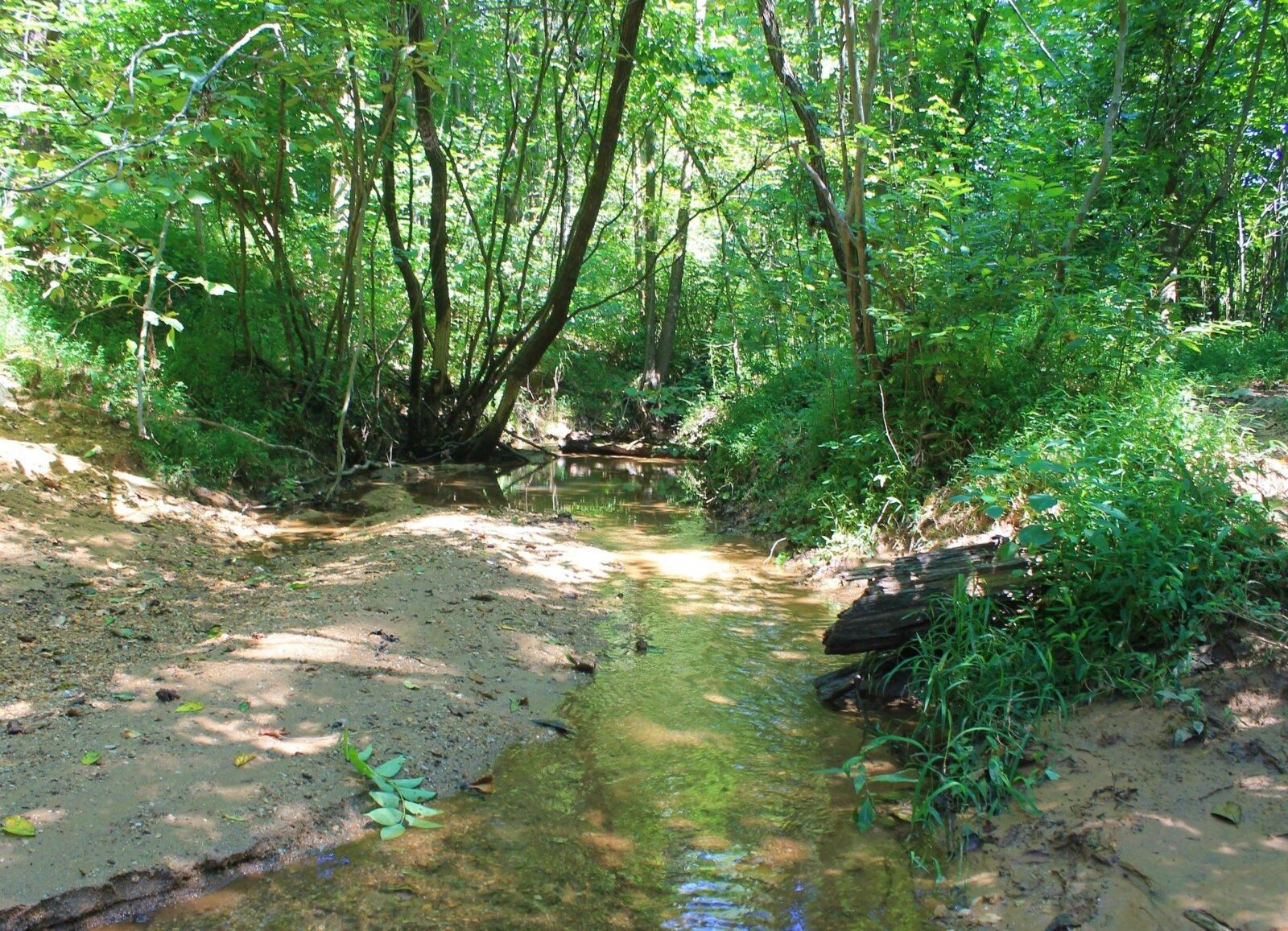 Ringgold, Pittsylvania County, VA Recreational Property, Undeveloped