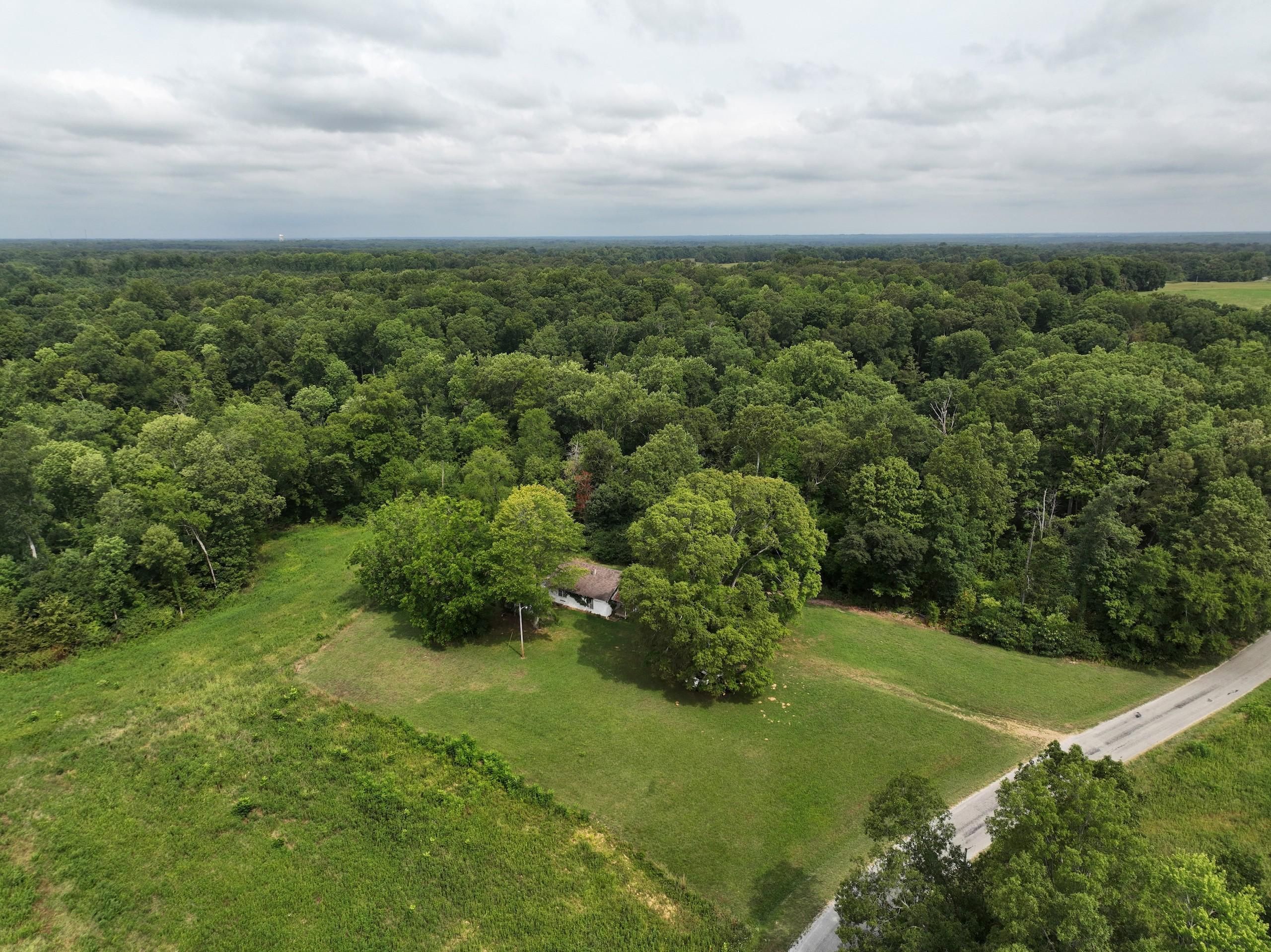 Greenfield, Weakley County, TN Recreational Property, Timberland Property, Hunting Property for