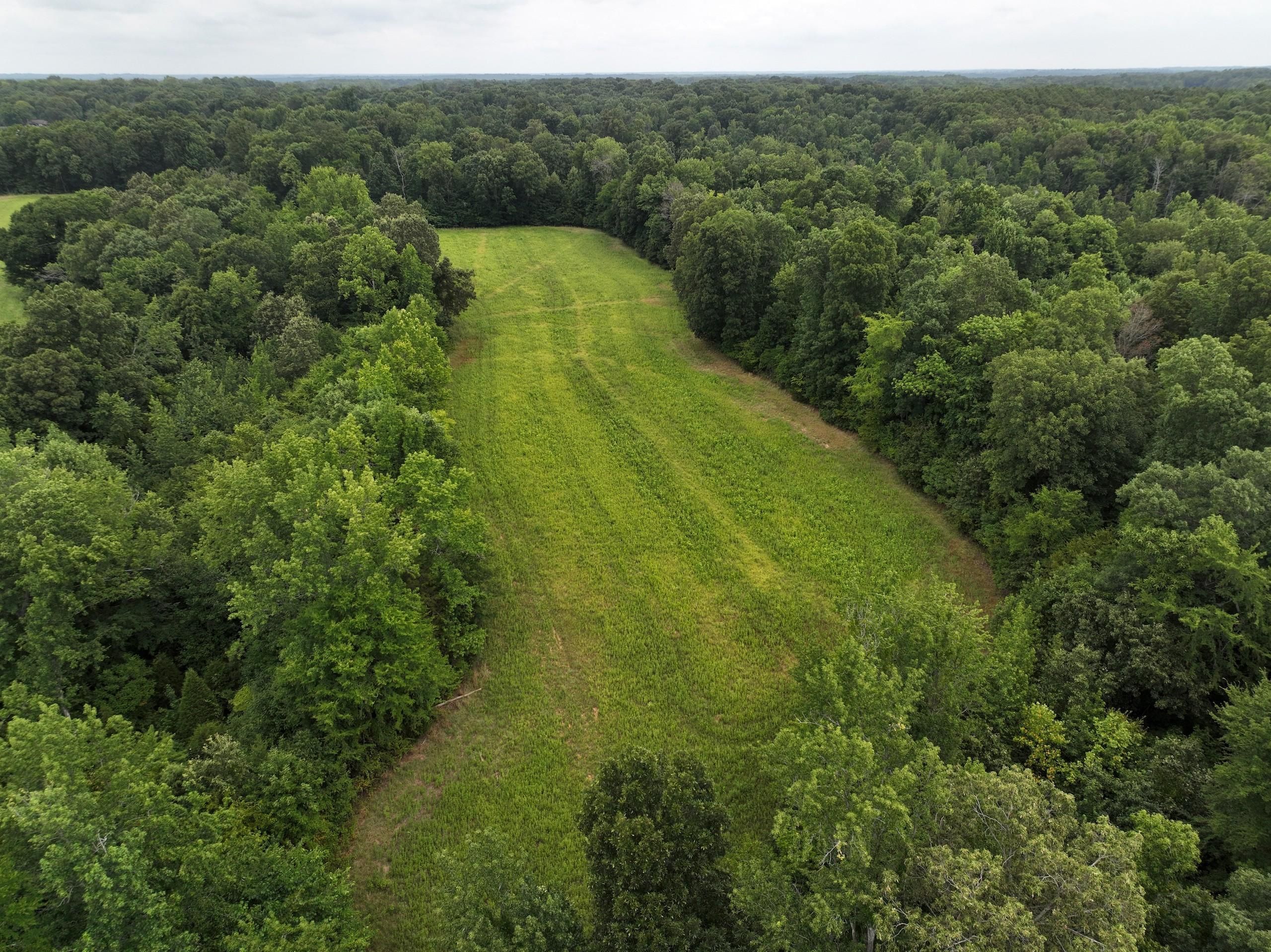 Greenfield, Weakley County, TN Recreational Property, Timberland Property, Hunting Property for