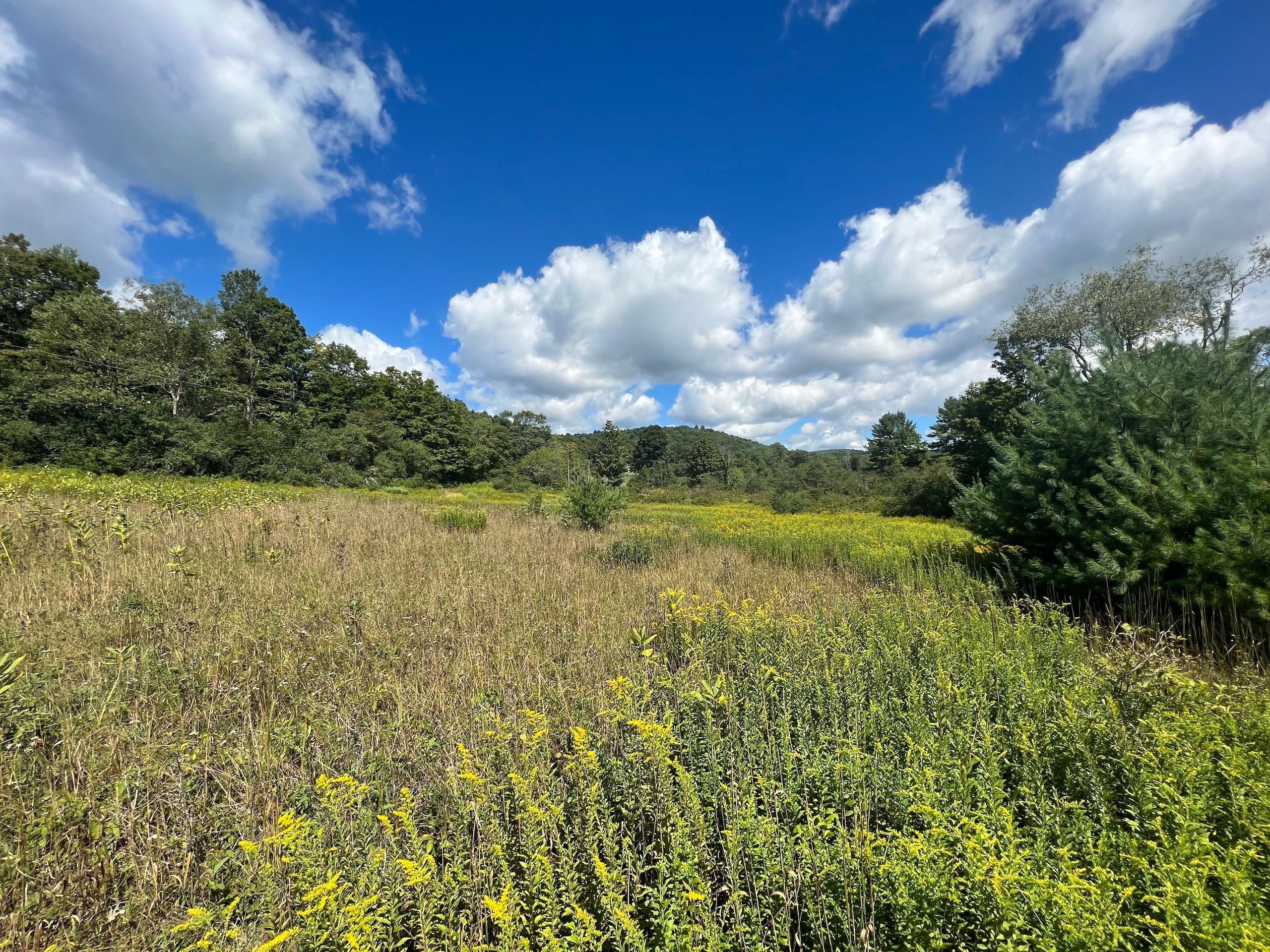 Little Meadows, Susquehanna County, PA Recreational Property