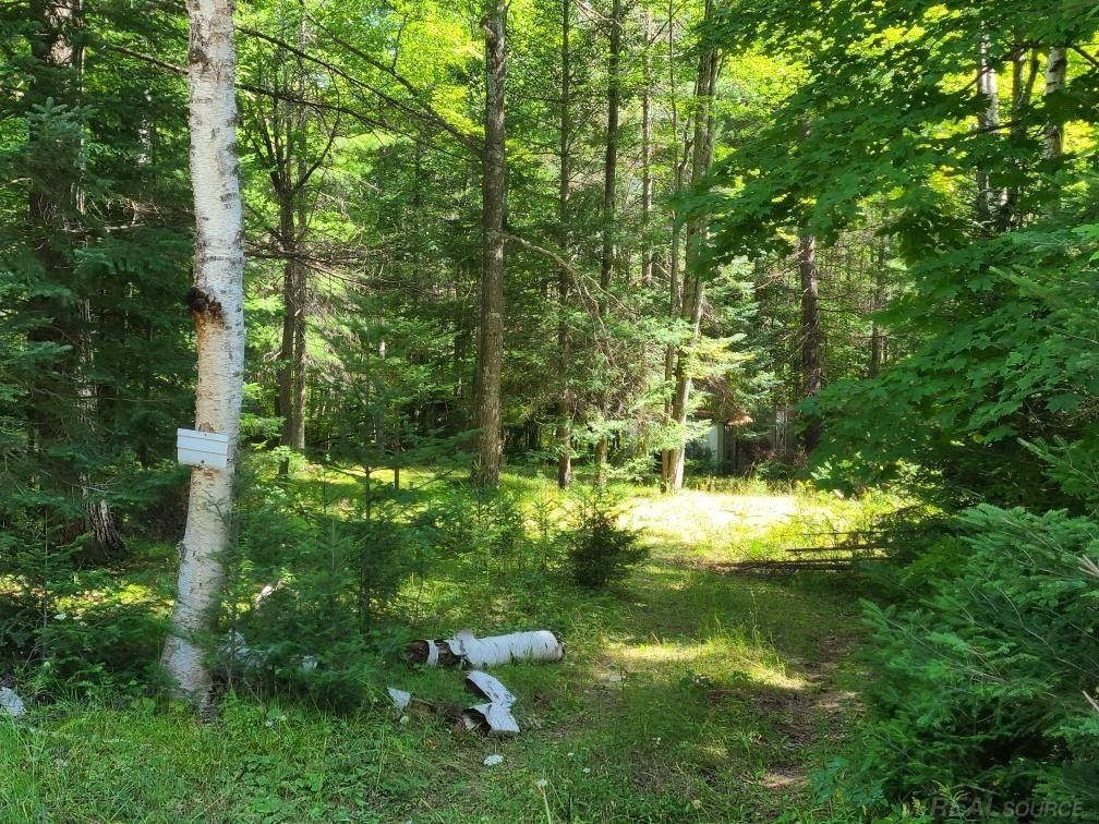 Mio, Oscoda County, MI Undeveloped Land for sale Property ID 414700924