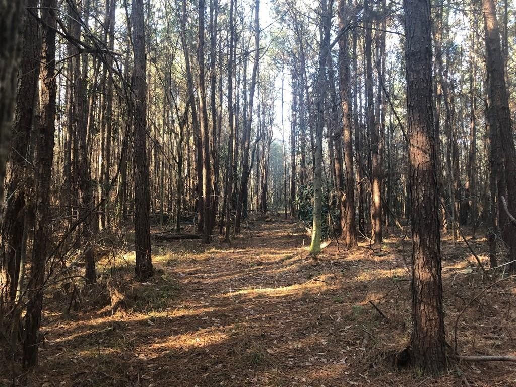 Jayess, Walthall County, MS Undeveloped Land for sale Property ID