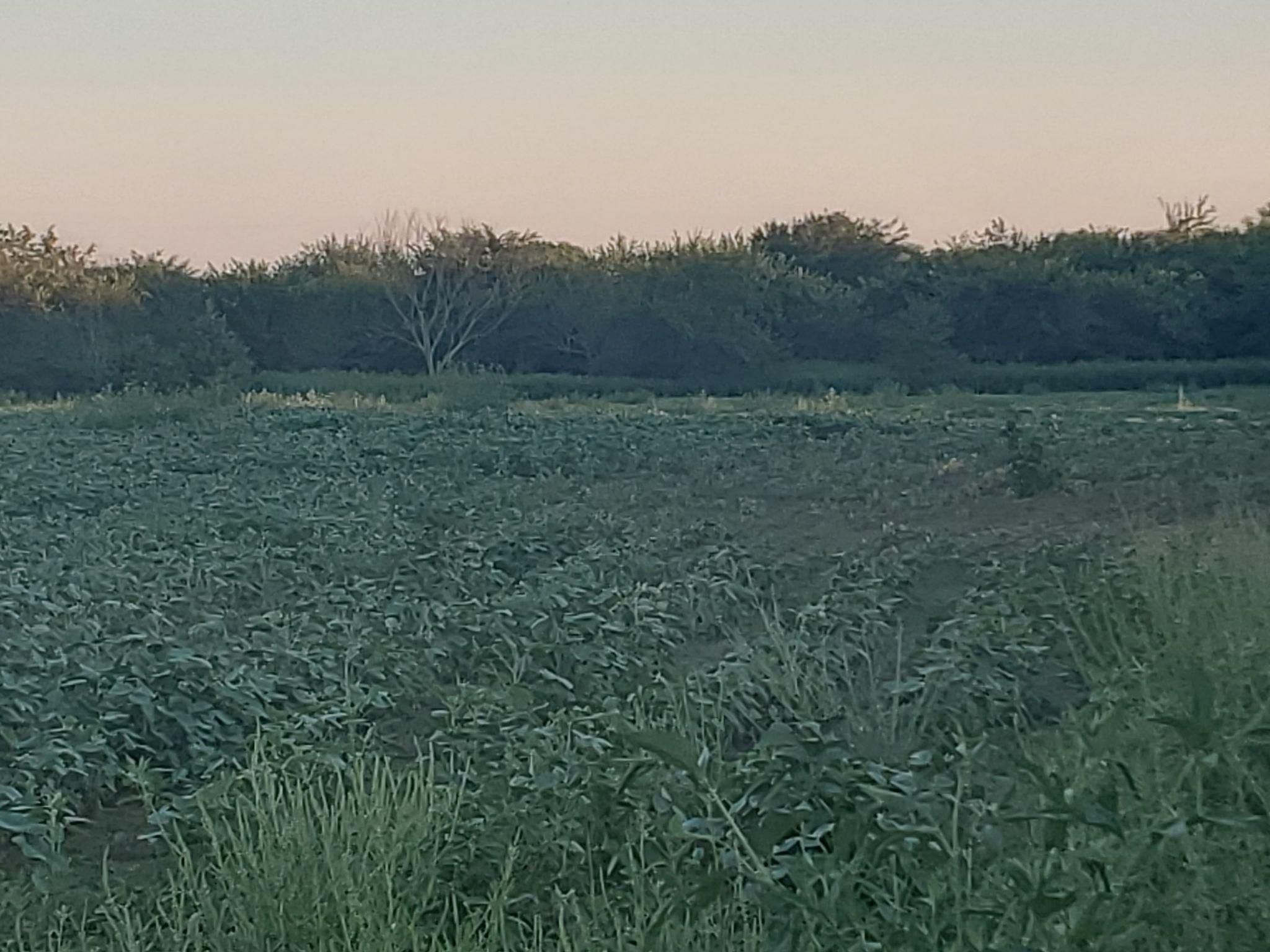 Lyndon, Osage County, KS Farms and Ranches for sale Property ID