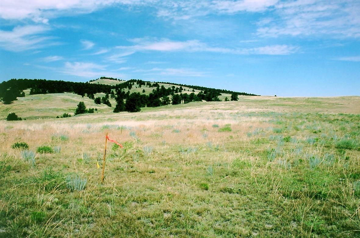 Lusk, Niobrara County, WY Recreational Property, Undeveloped Land for