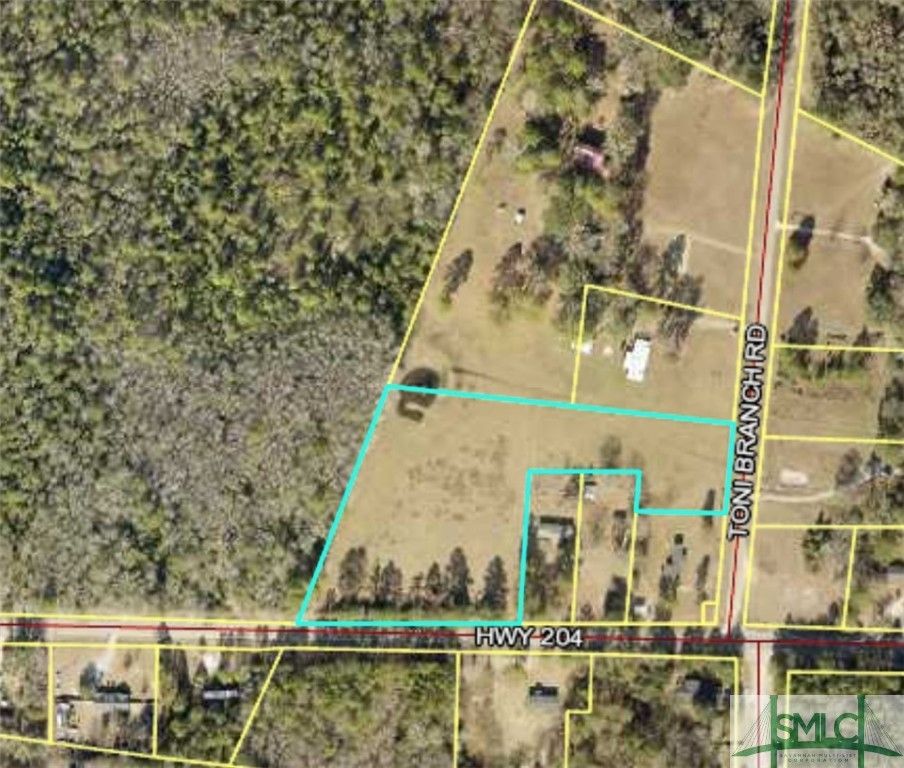 0 Hwy 204/Toni Branch Road, Ellabell, GA 31308 MLS 274387 LandWatch