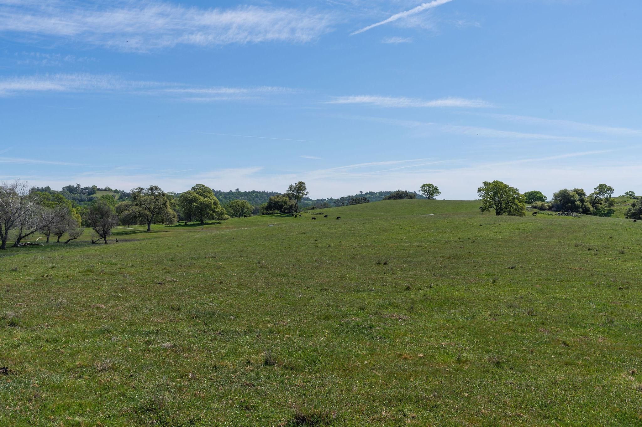 Plymouth Ca Events Calendar