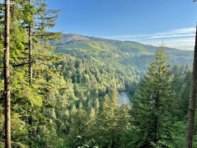 Kalama, Cowlitz County, WA Undeveloped Land for sale Property ID