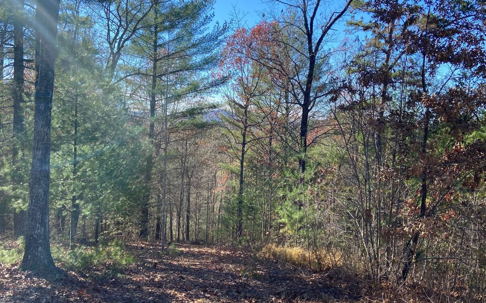 Murphy, Cherokee County, NC for sale Property ID 414703344 LandWatch