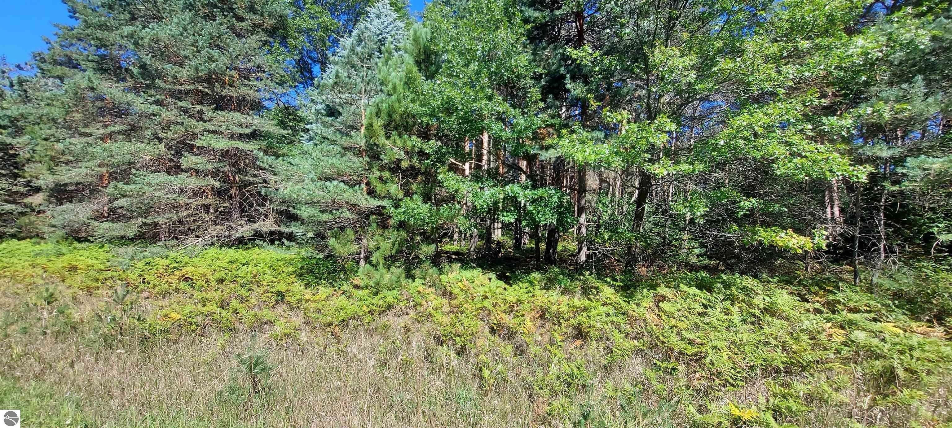 McBain, Missaukee County, MI Undeveloped Land, Lakefront Property