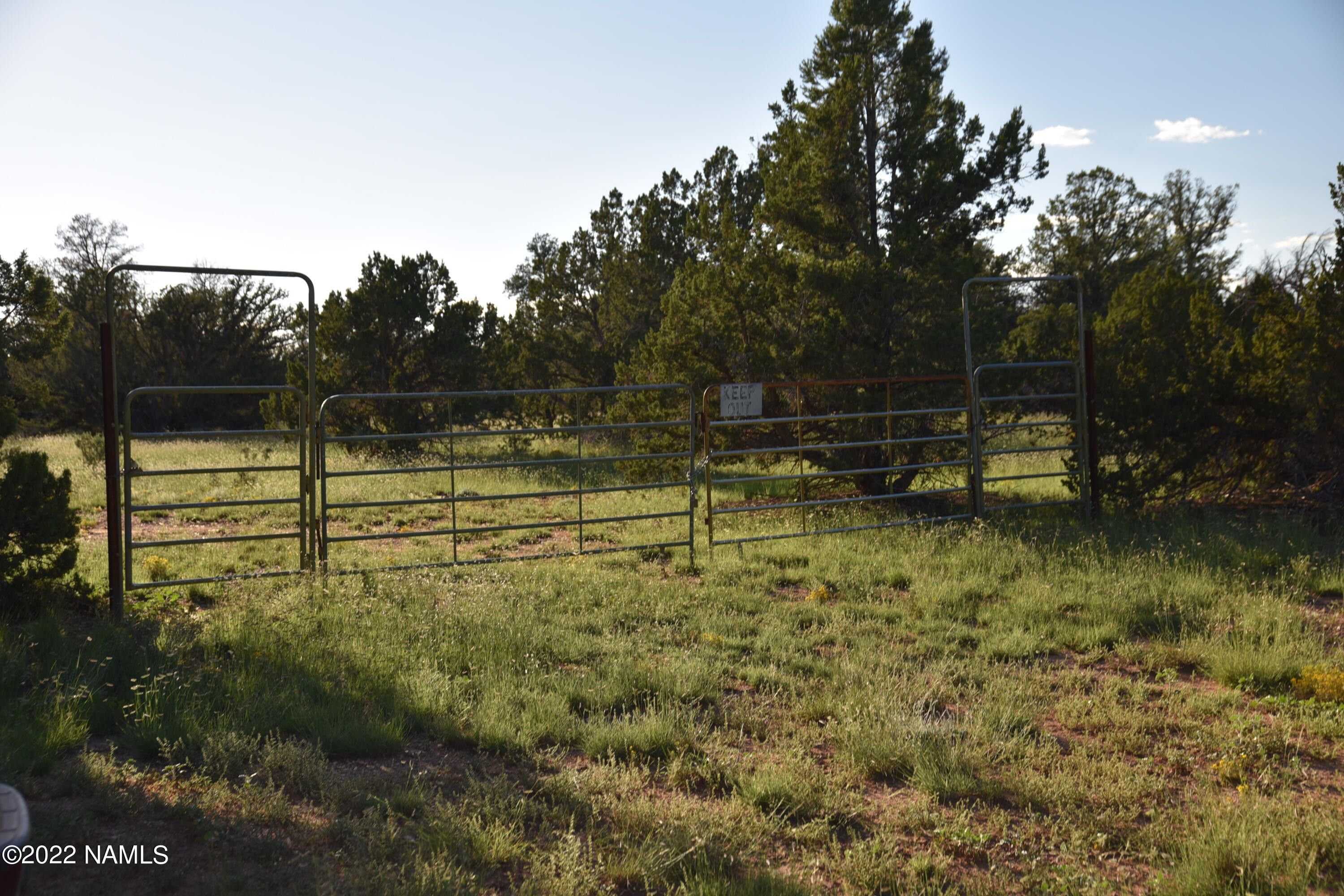 Williams, Coconino County, AZ Undeveloped Land for sale Property ID
