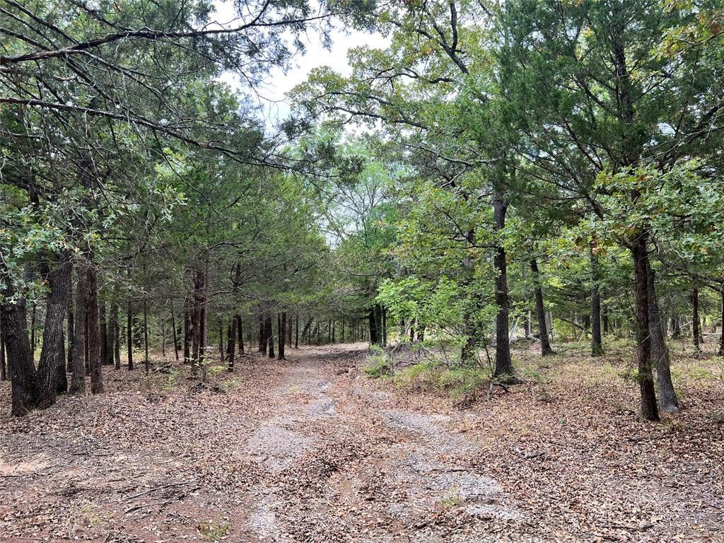 Denison, Grayson County, TX Undeveloped Land for sale Property ID