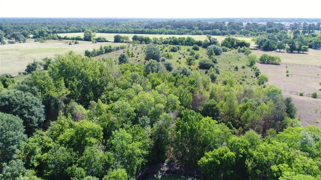 Hockley, Harris County, TX Recreational Property, Undeveloped Land for