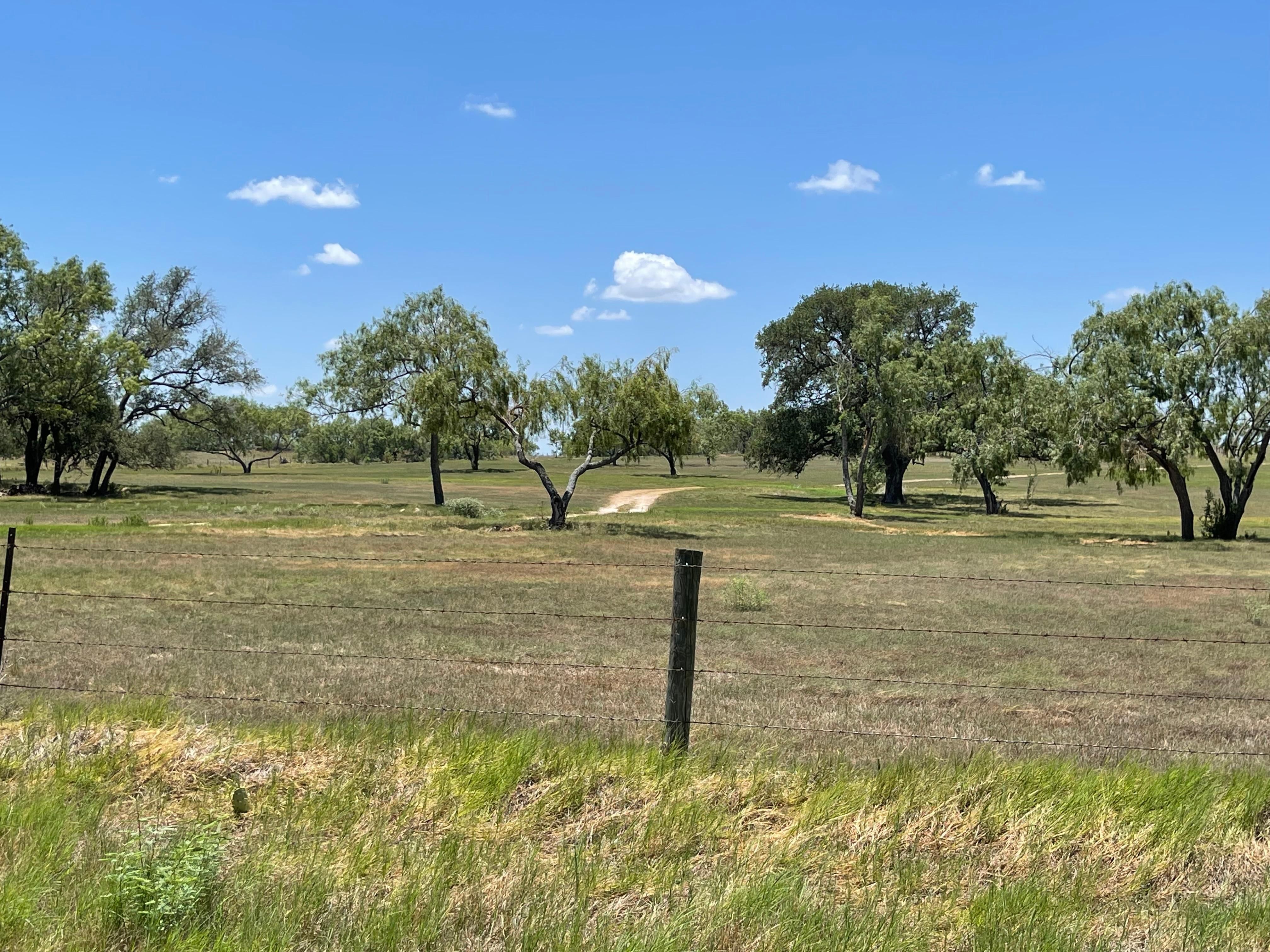 301 FM 539, Floresville, TX 78114 | MLS: 1635254 | LandWatch