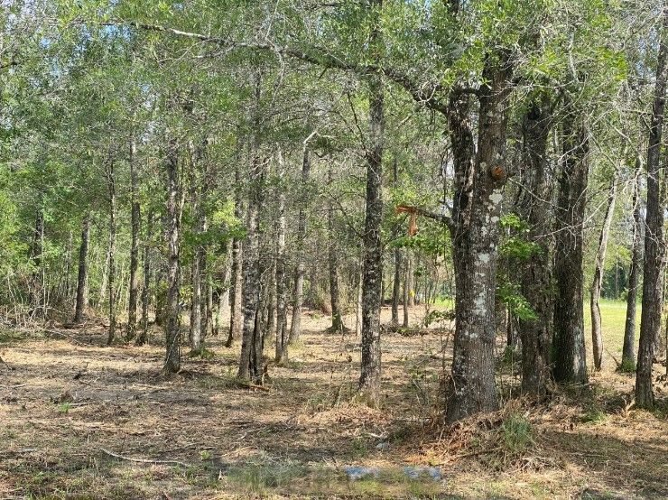 Buna, Jasper County, TX Undeveloped Land, Homesites for sale Property