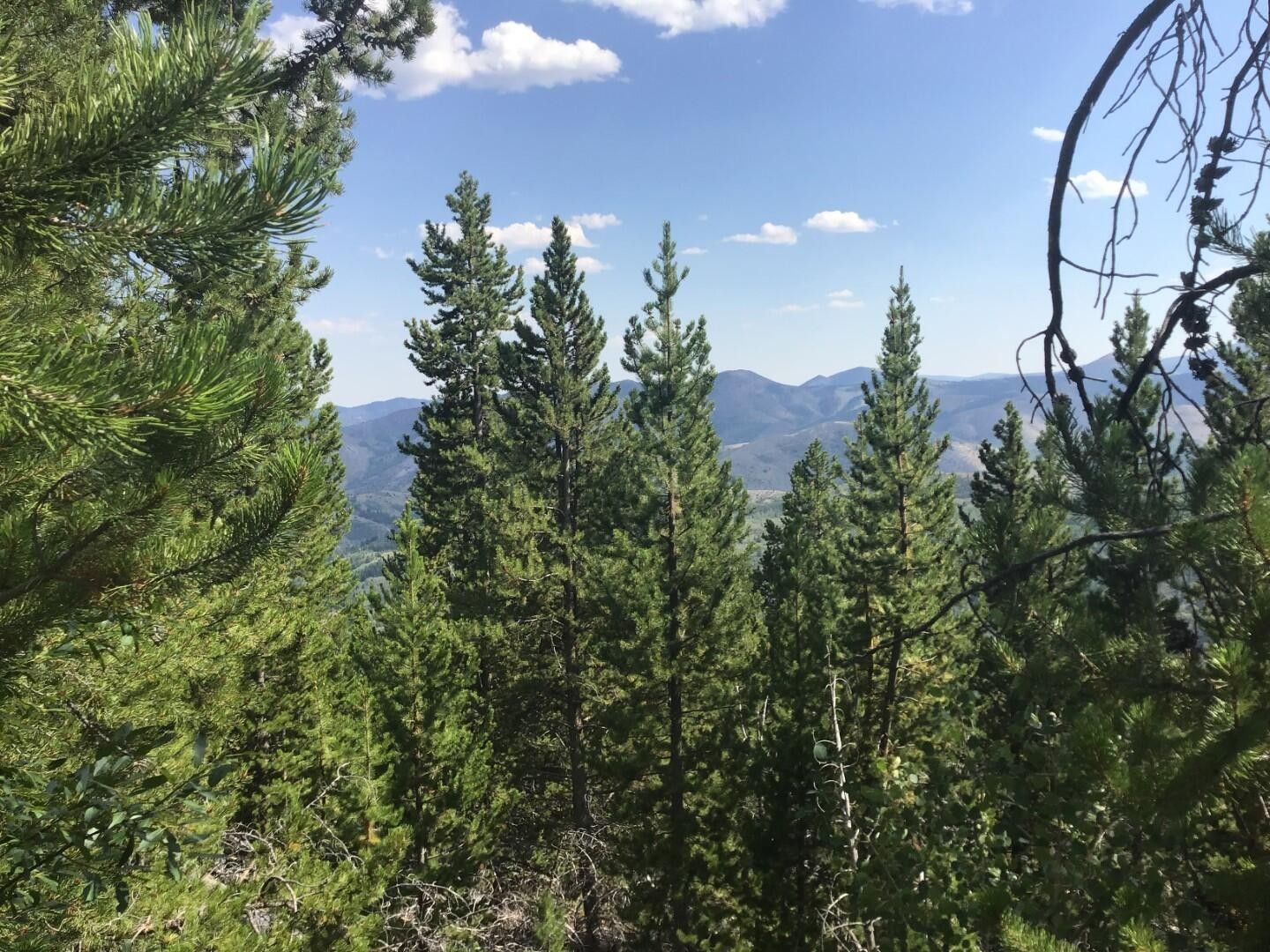 Anaconda, Deer Lodge County, MT Farms and Ranches for sale Property ID 414706726 LandWatch