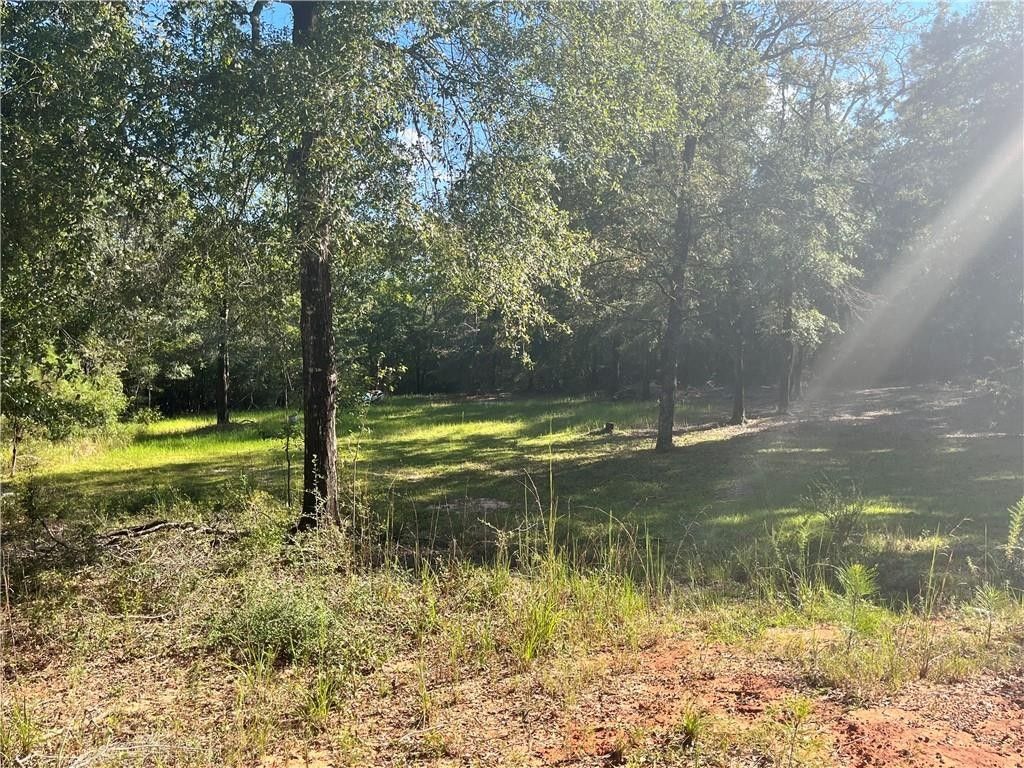 Wilmer, Mobile County, AL Undeveloped Land, Homesites for sale Property
