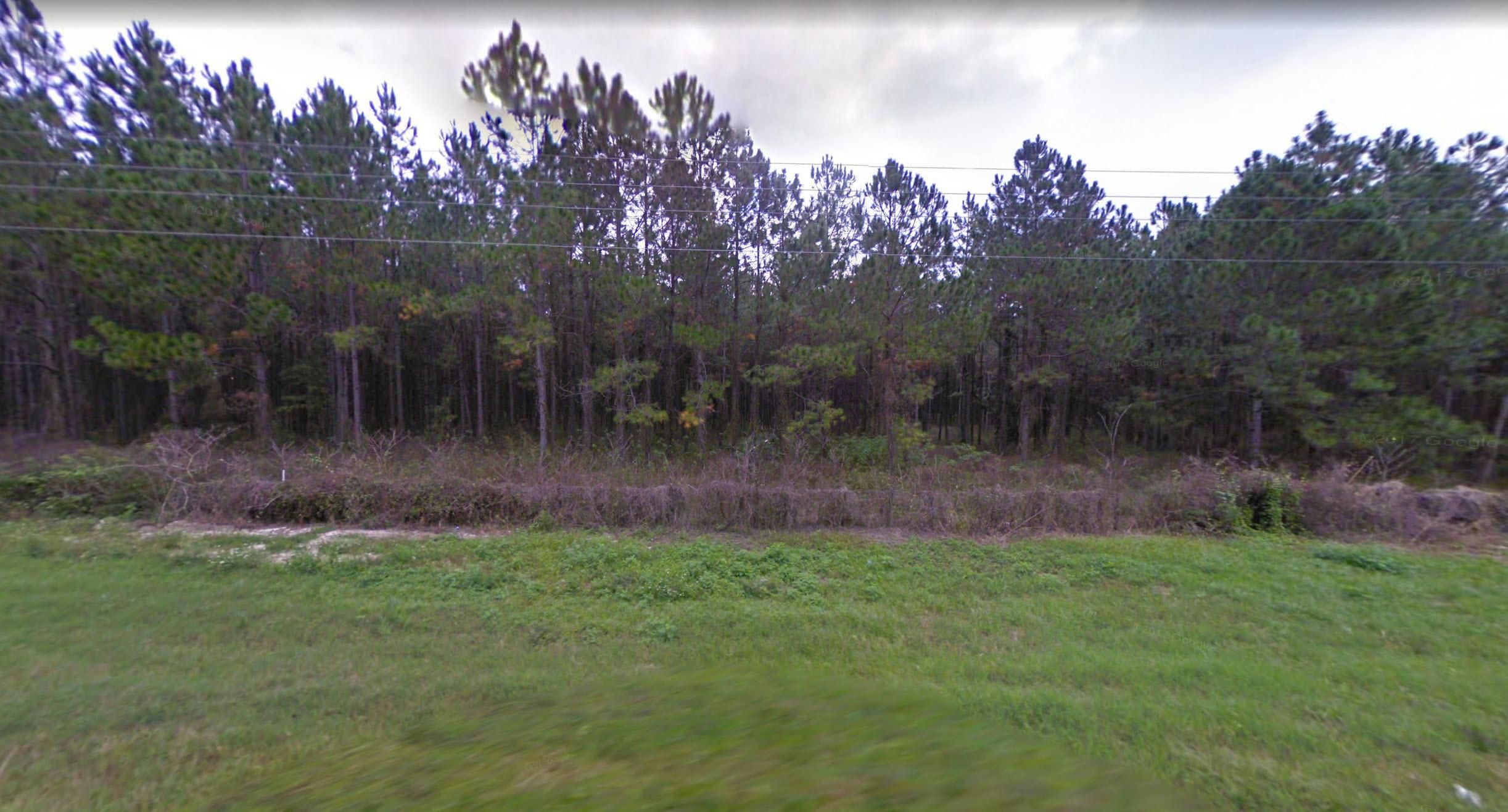 Live Oak, Suwannee County, FL Recreational Property, Undeveloped Land