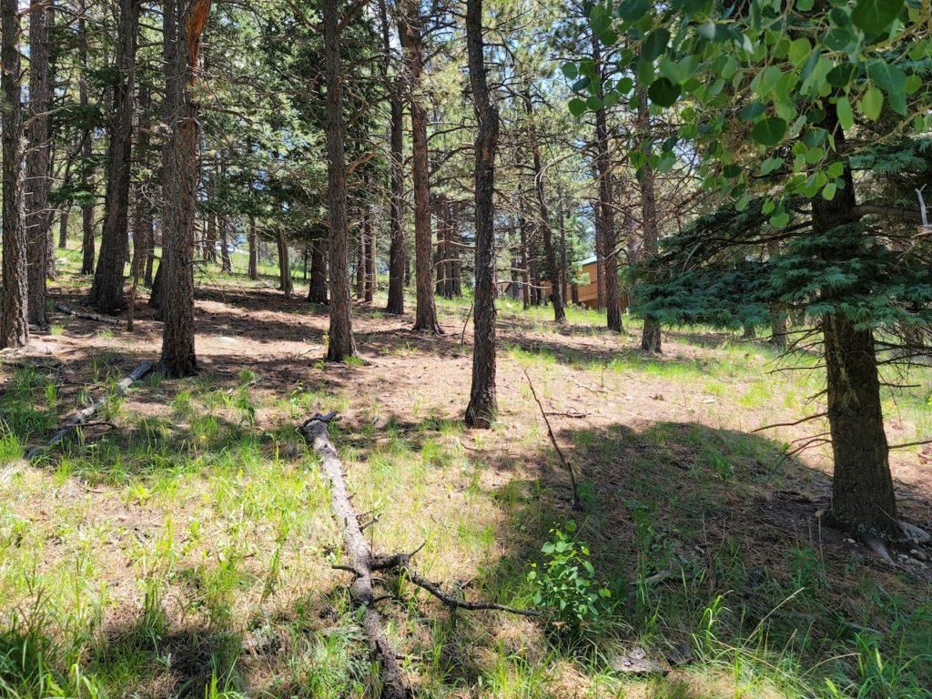 Aguilar, Las Animas County, CO Recreational Property, Undeveloped Land