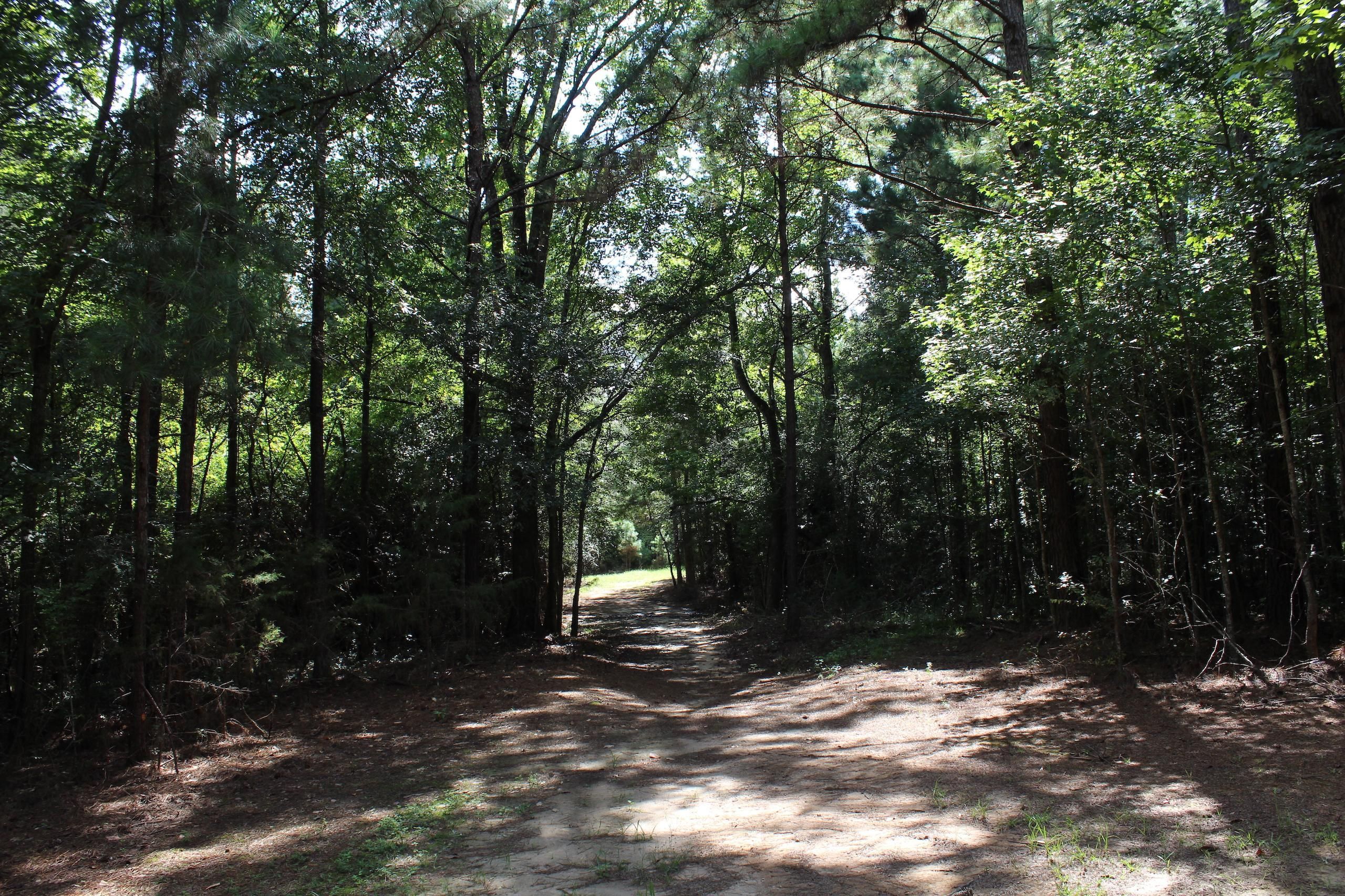 Wesson, Copiah County, MS Recreational Property, Timberland Property