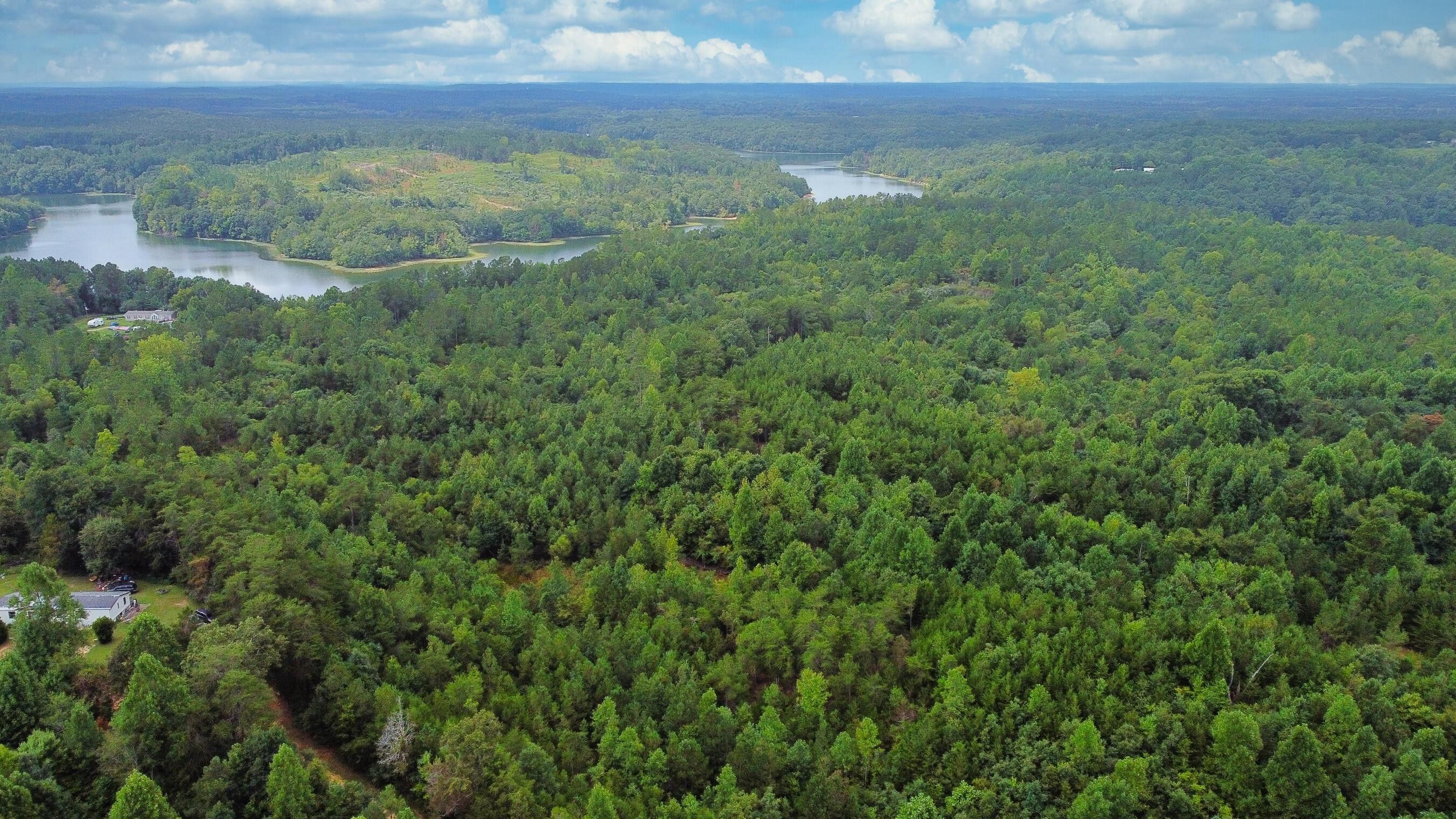 Phil Campbell, Marion County, AL Undeveloped Land for sale Property ID