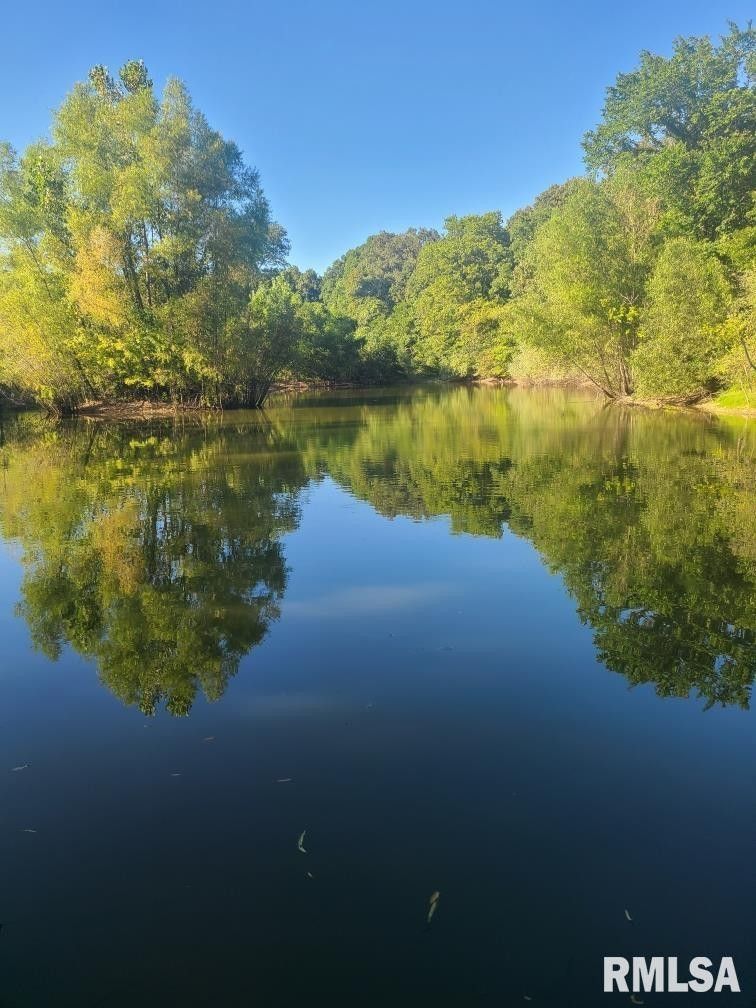 Olive Branch, Alexander County, IL Undeveloped Land for sale Property ID 413851376 LandWatch