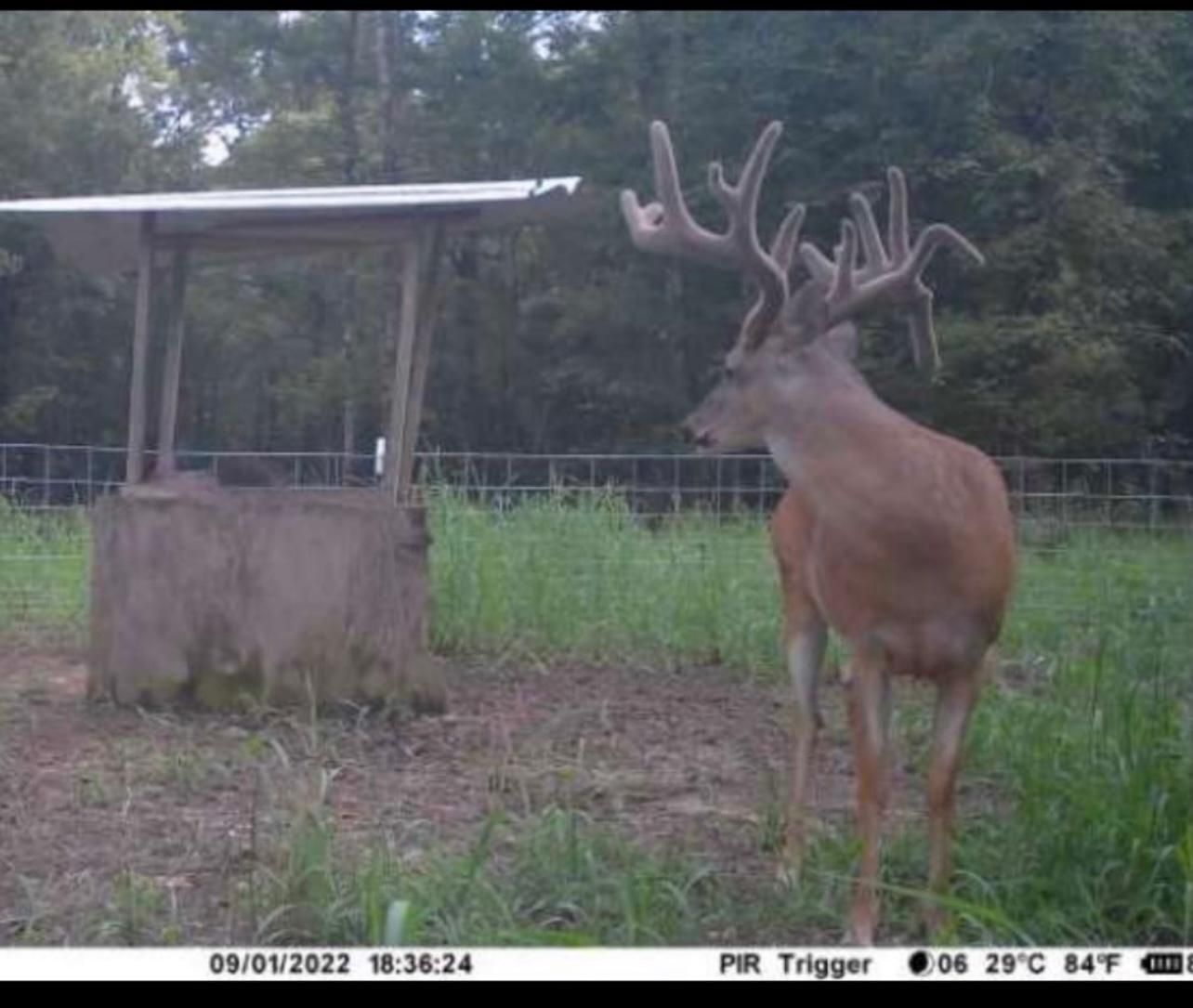 Big Bend, Avoyelles Parish, LA Recreational Property, Hunting Property