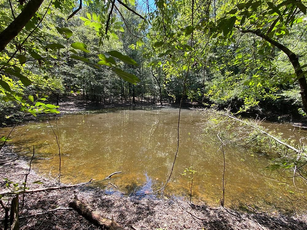 Louin, Jasper County, MS Recreational Property, Timberland Property