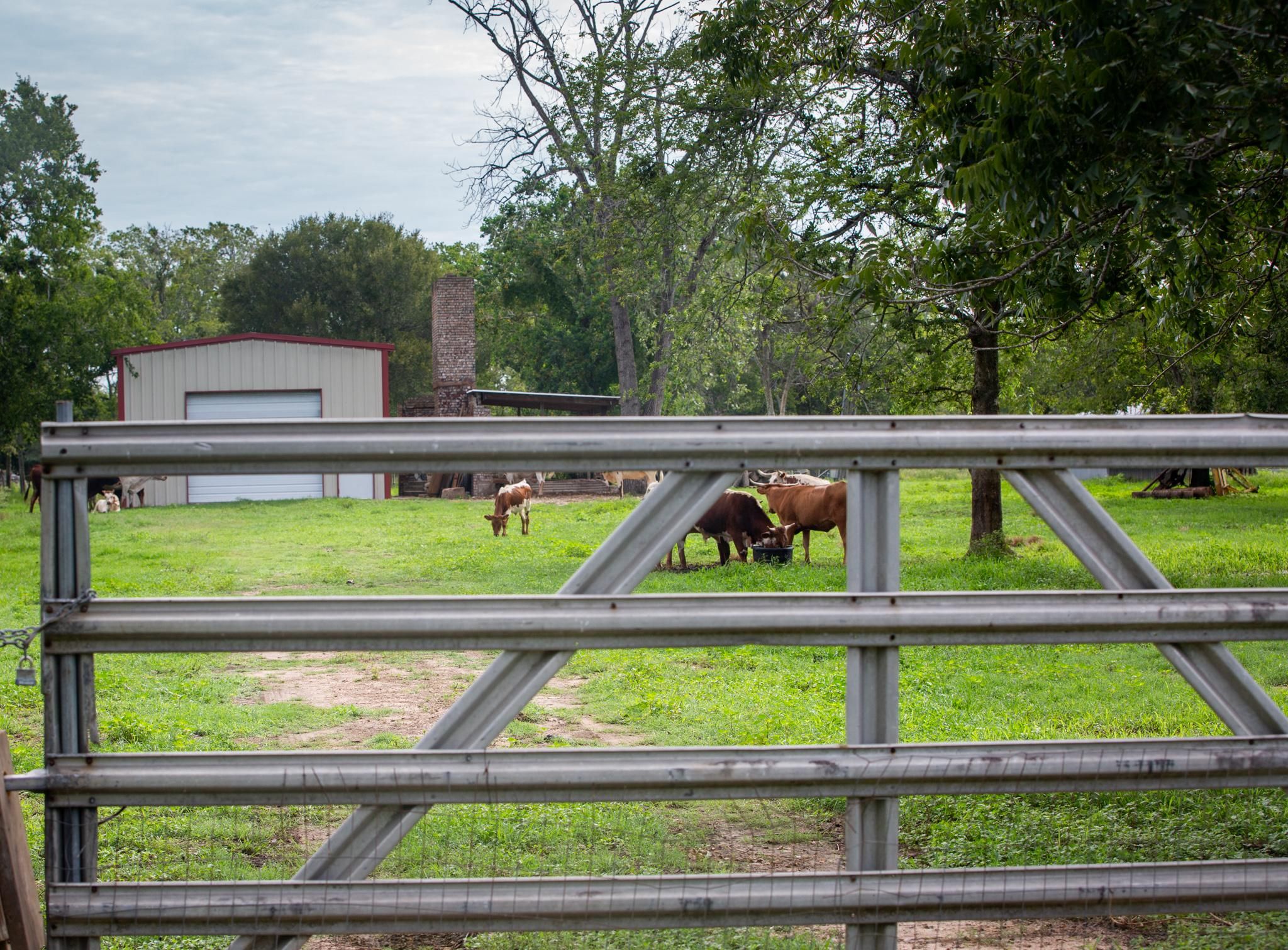 Garwood, Colorado County, TX Farms and Ranches for sale Property ID