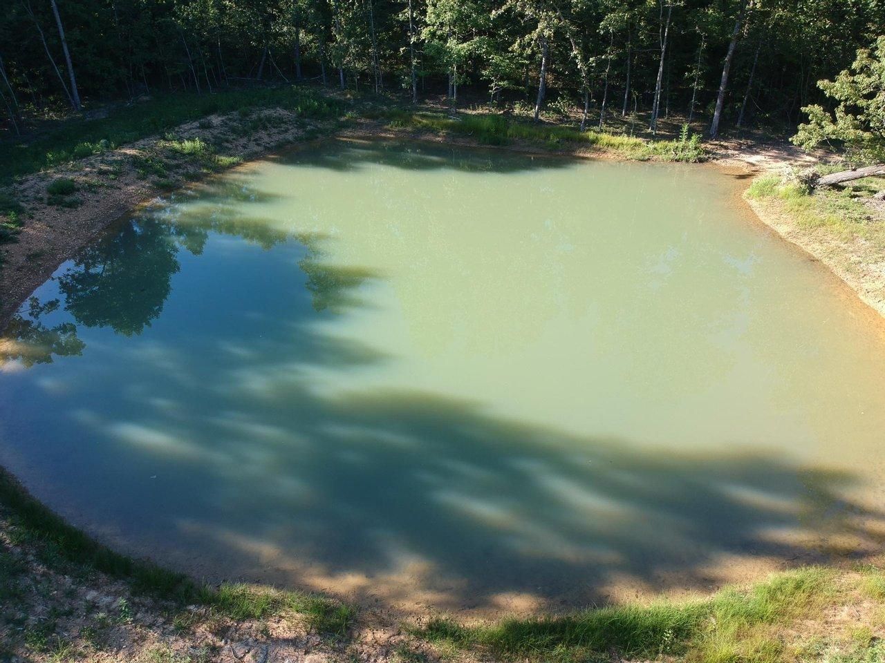 Doniphan, Ripley County, MO House for sale Property ID 414715829