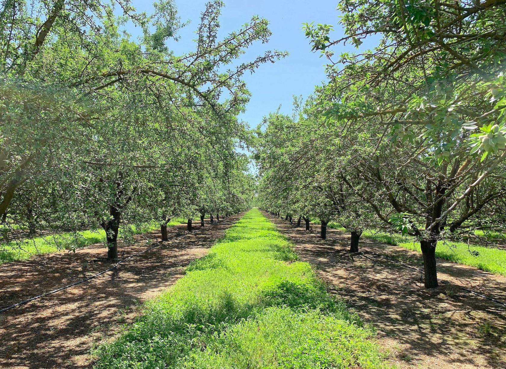 Stradley Avenue, McFarland, CA 93250 LandWatch