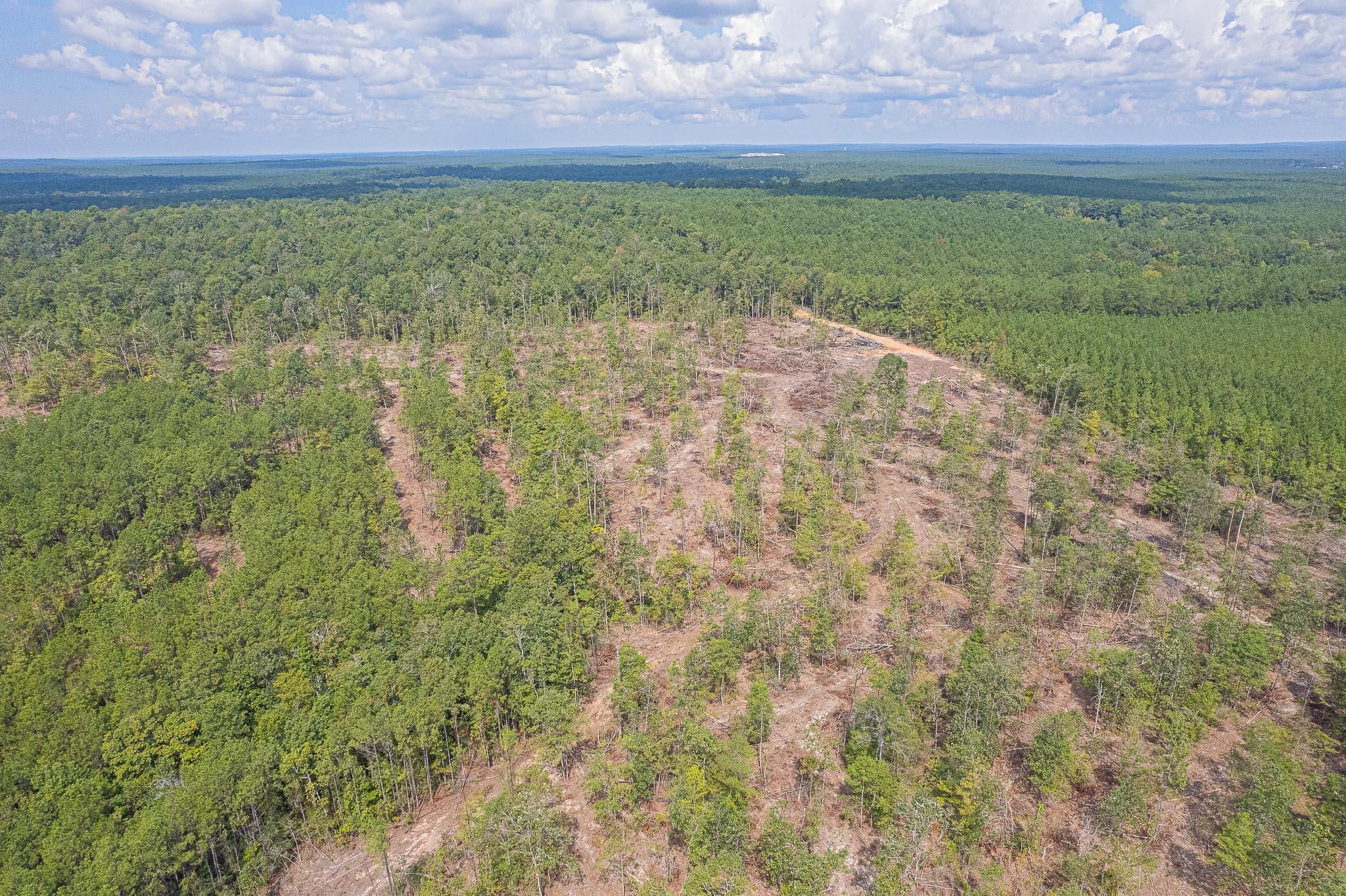 TBD County Road 425, Jasper, TX 75951 LandWatch