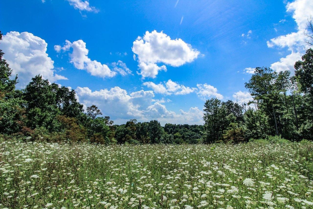 Dexter City, Noble County, OH Recreational Property, Hunting Property