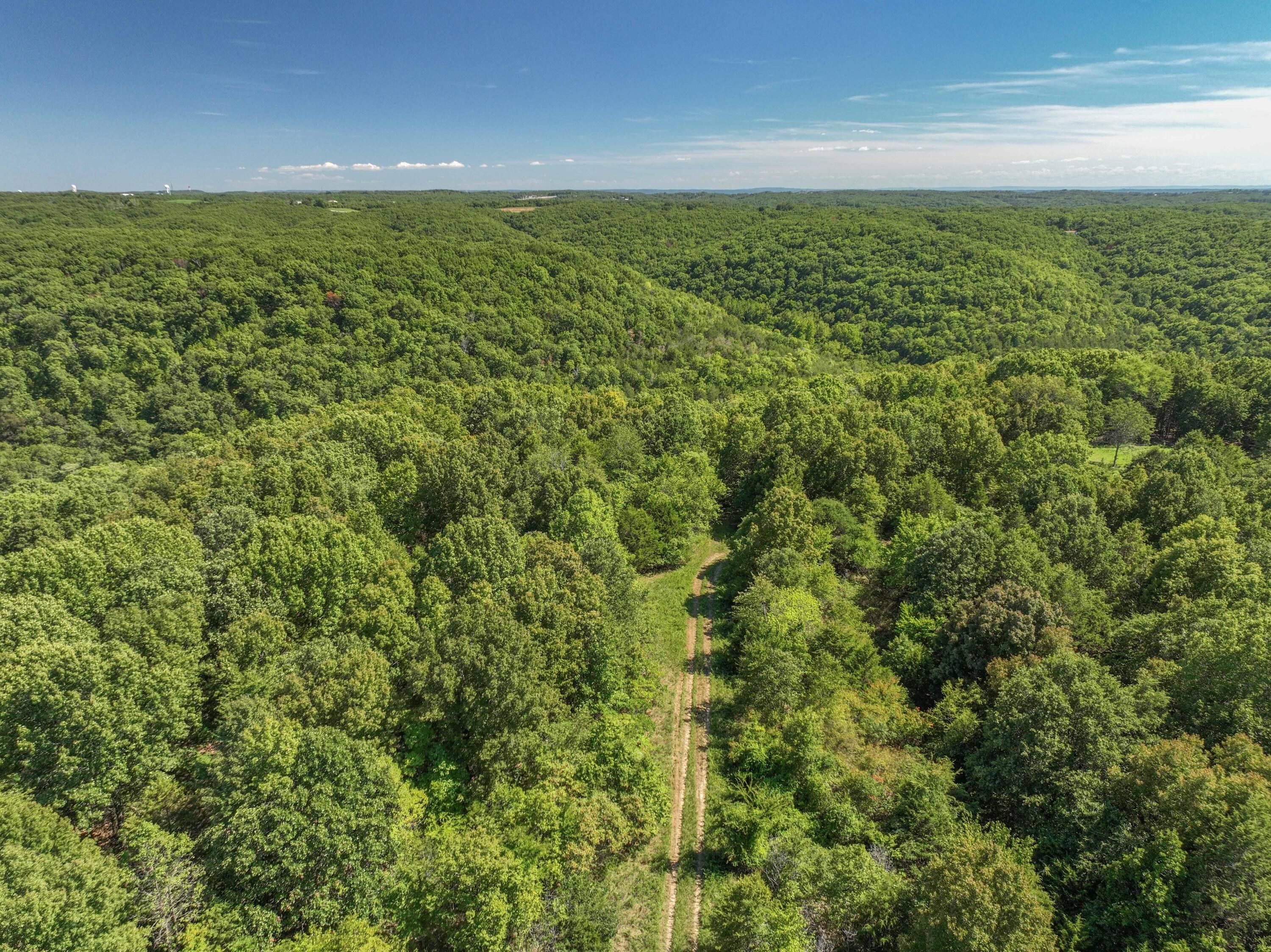 Galena, Stone County, MO Undeveloped Land, Lakefront Property