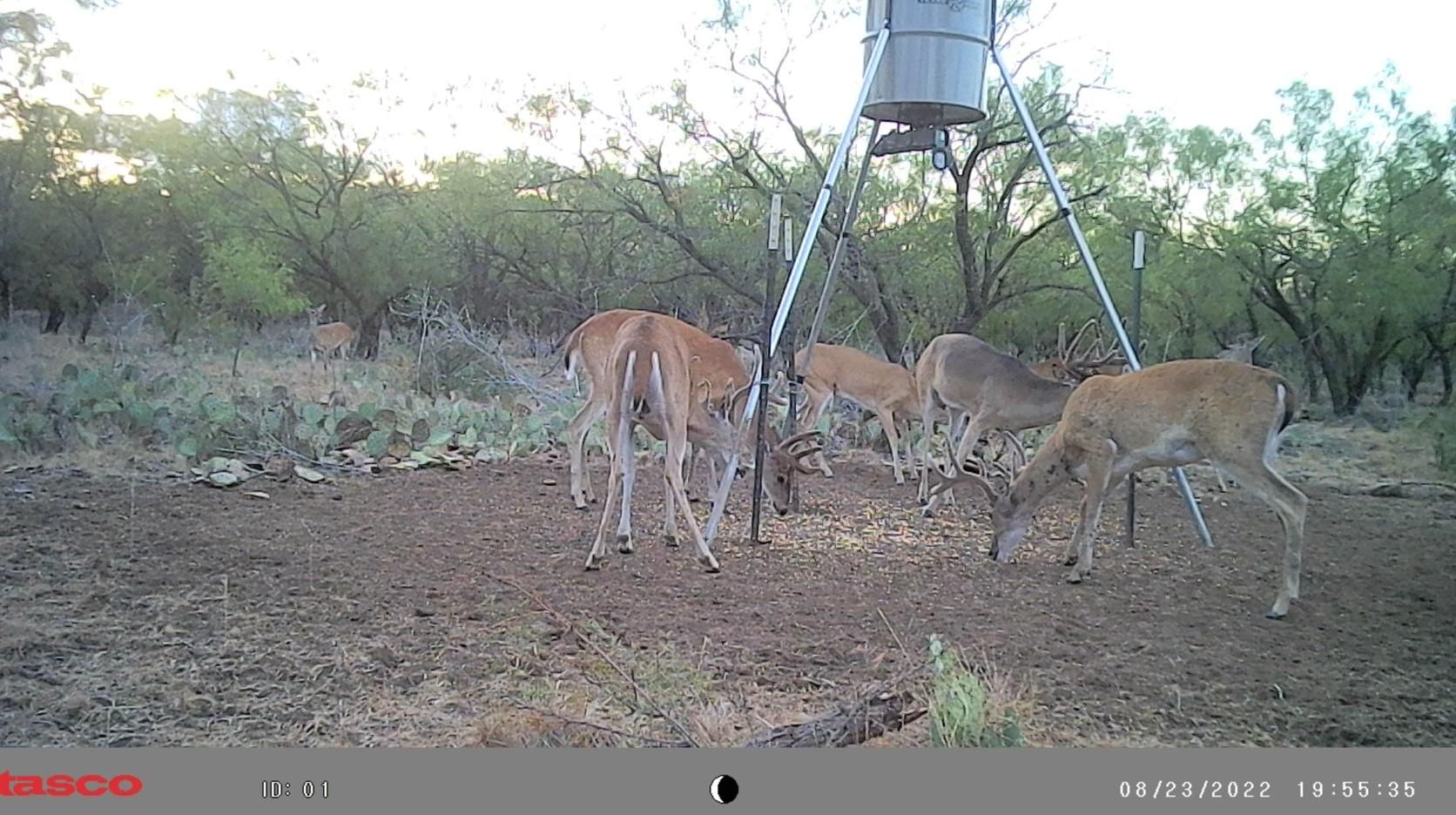 Breckenridge, Stephens County, TX Farms and Ranches, Recreational