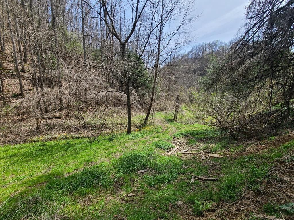 Honaker, Russell County, VA Undeveloped Land for sale Property ID ...