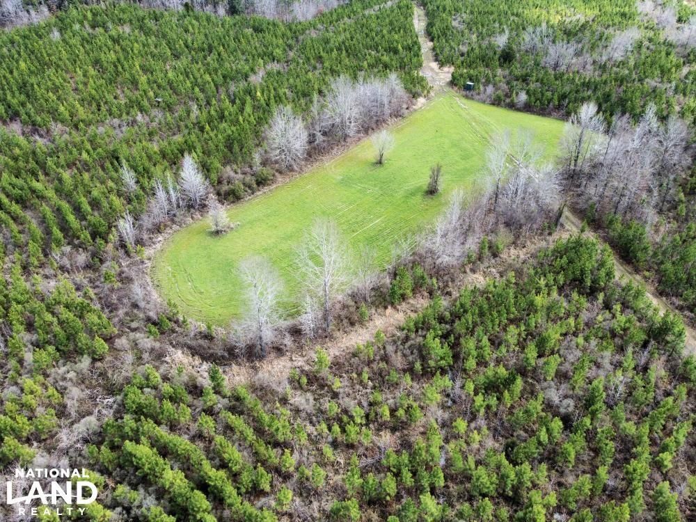 Linden, Marengo County, AL Recreational Property, Timberland Property