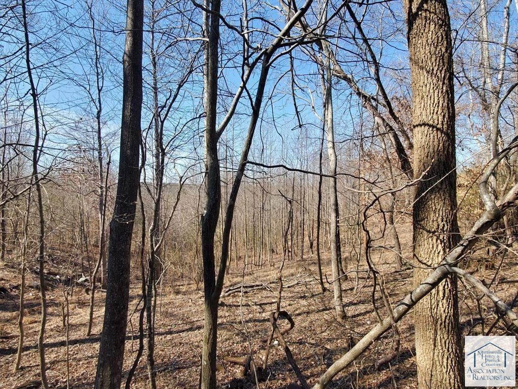 Martinsville, Henry County, VA Farms and Ranches for sale Property ID