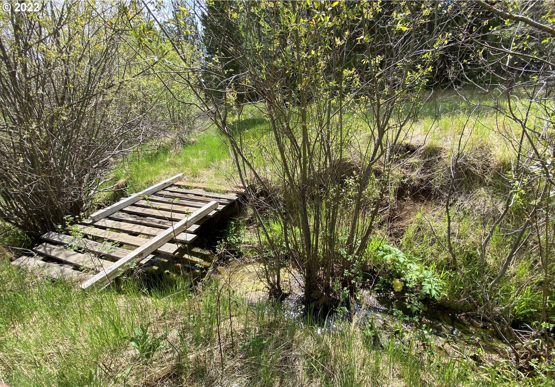 Goldendale, Klickitat County, WA Undeveloped Land for sale Property ID