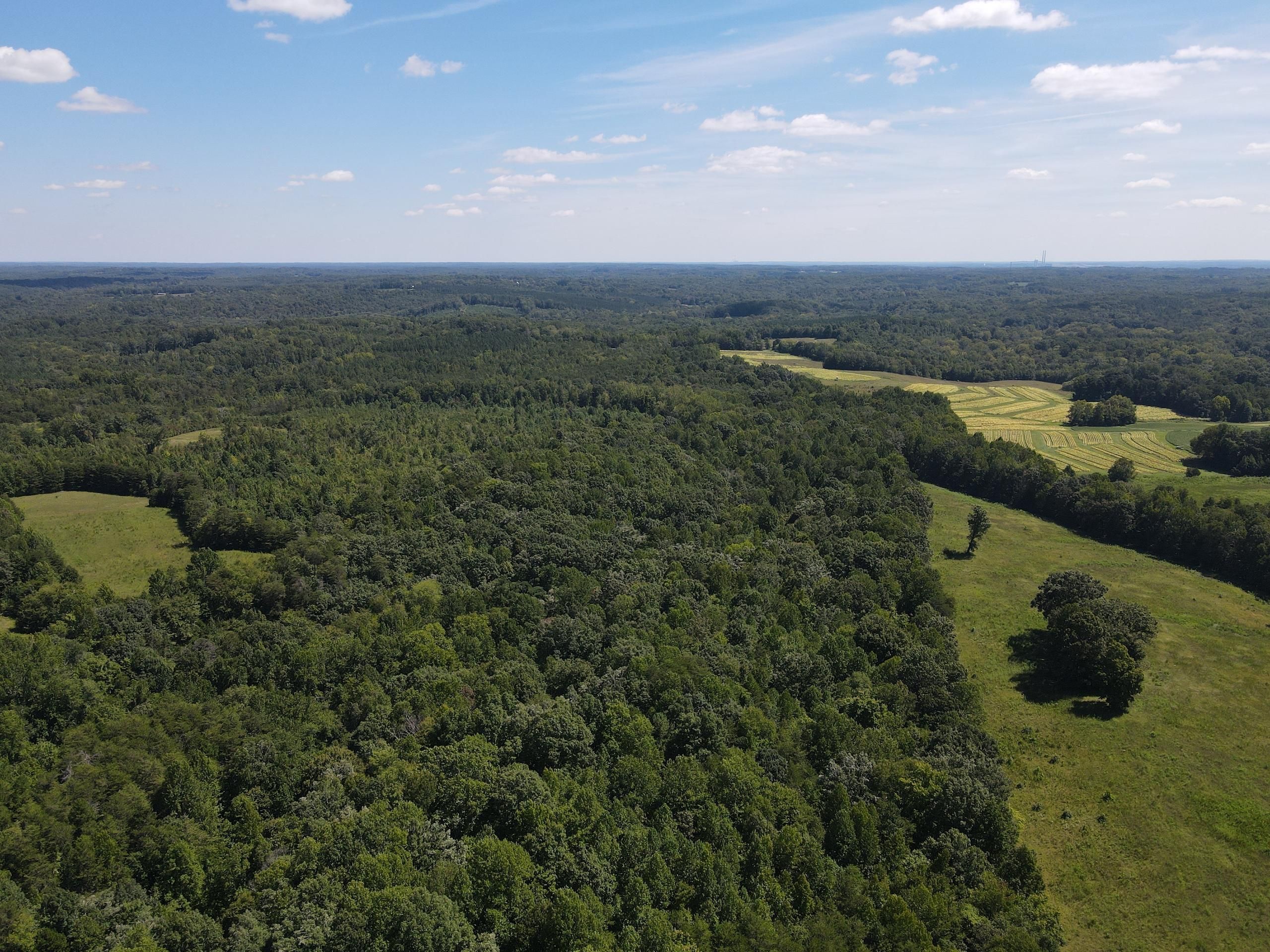 Milton, Caswell County, NC Recreational Property, Timberland Property