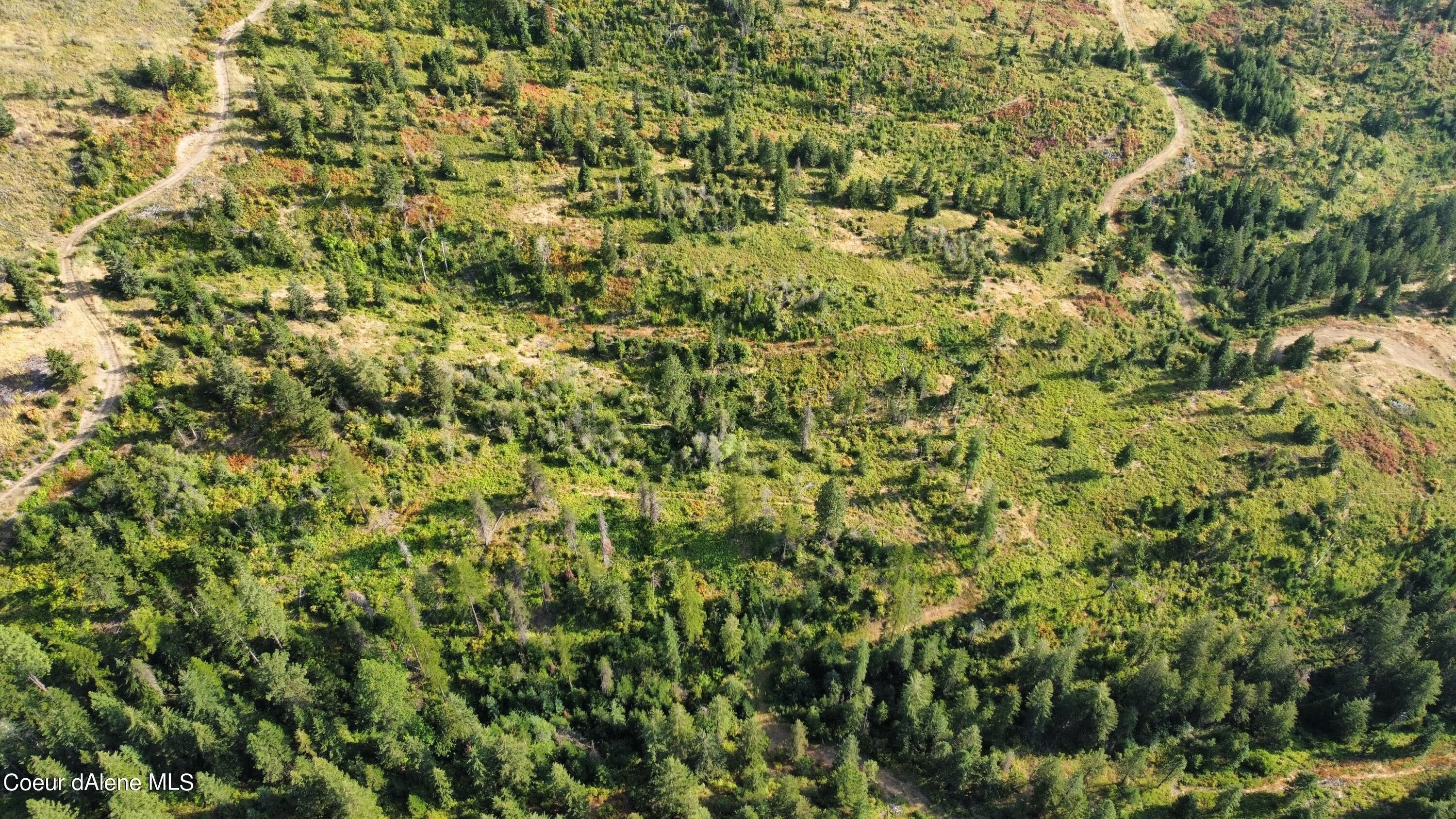 Saint Maries, Benewah County, ID Undeveloped Land for sale Property ID